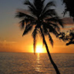 Meet your Posher, Reiner